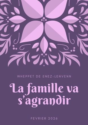 Les bébés de TERMAJI naîtront vers le 05 février 2026